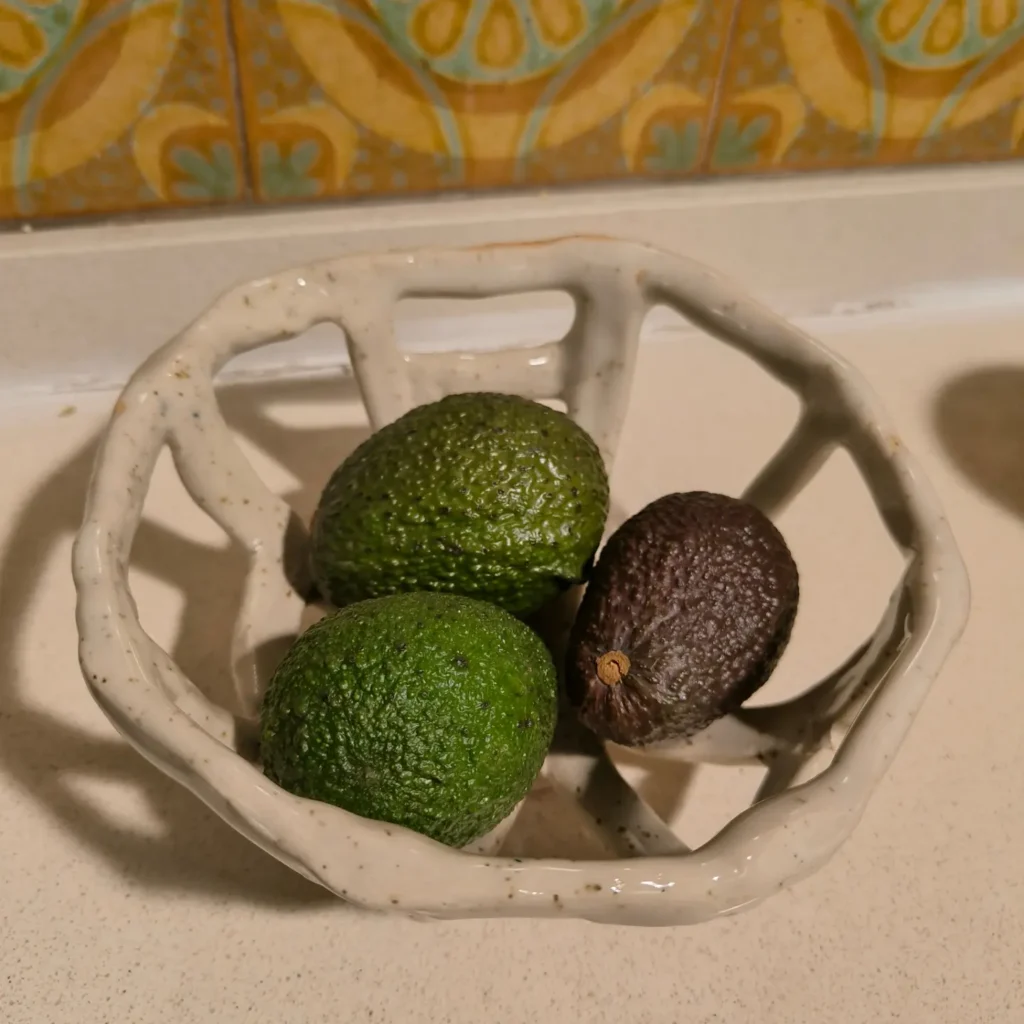 Frutero